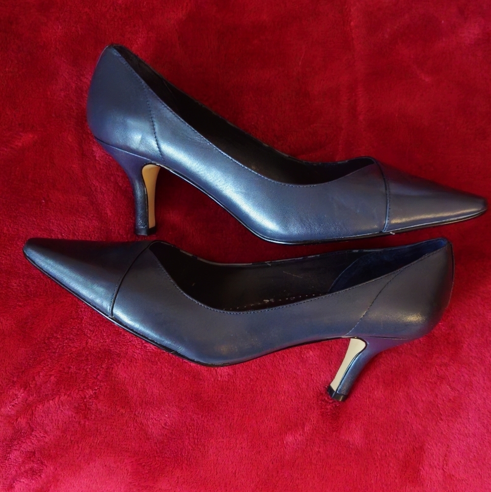 Bella-Vita Blue Leather Pumps- Size 10WW